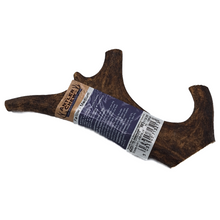 Load image into Gallery viewer, Fallow Antler Medium