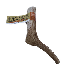 Load image into Gallery viewer, Full Antler XL