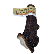 Load image into Gallery viewer, Full Antler XXL