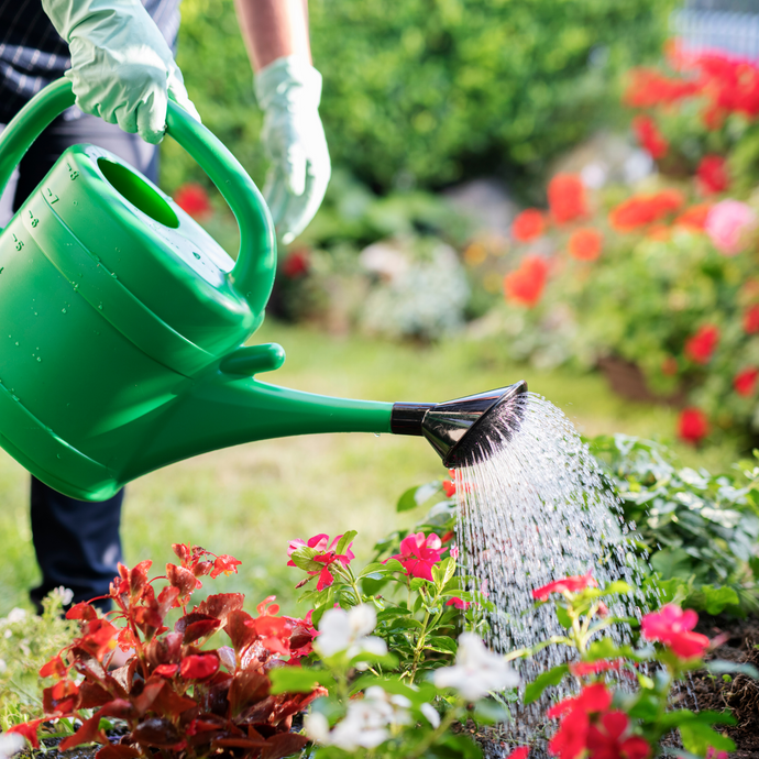 Best ways to water the garden during a hose pipe ban