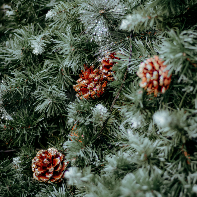 Wilderness & Wreaths- Nature's Christmas