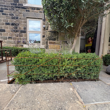 Load image into Gallery viewer, Steel Garden Border Edging | Rustic Metal Lawn Fence | 76cm Length
